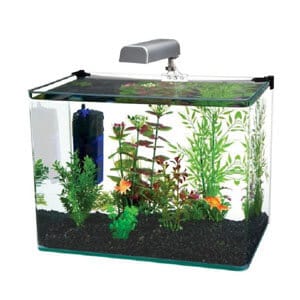 Kvalitet och unikt 10 Gallon akvariesats