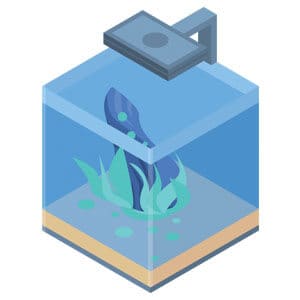 Quality Starter 10 Gallon Aquarium