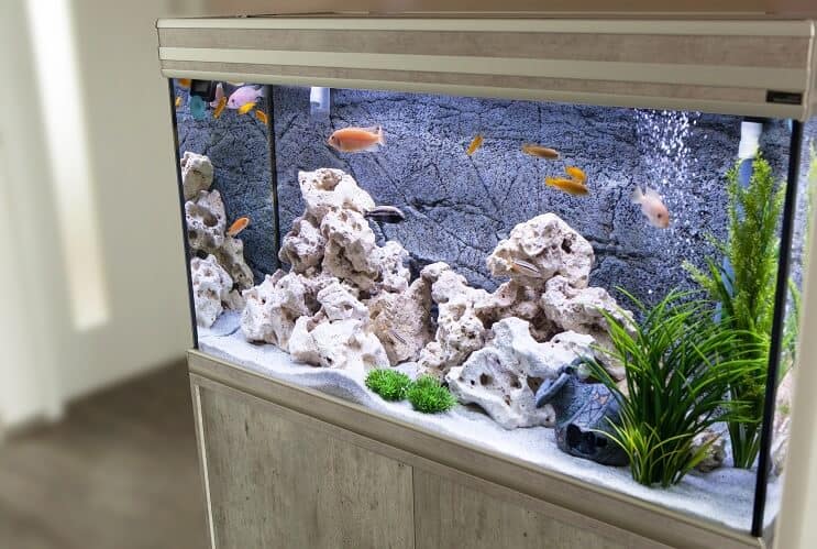 30 gallon akvarium