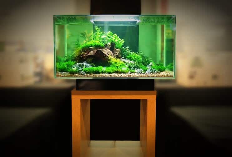 30 Gallon tankutrustning