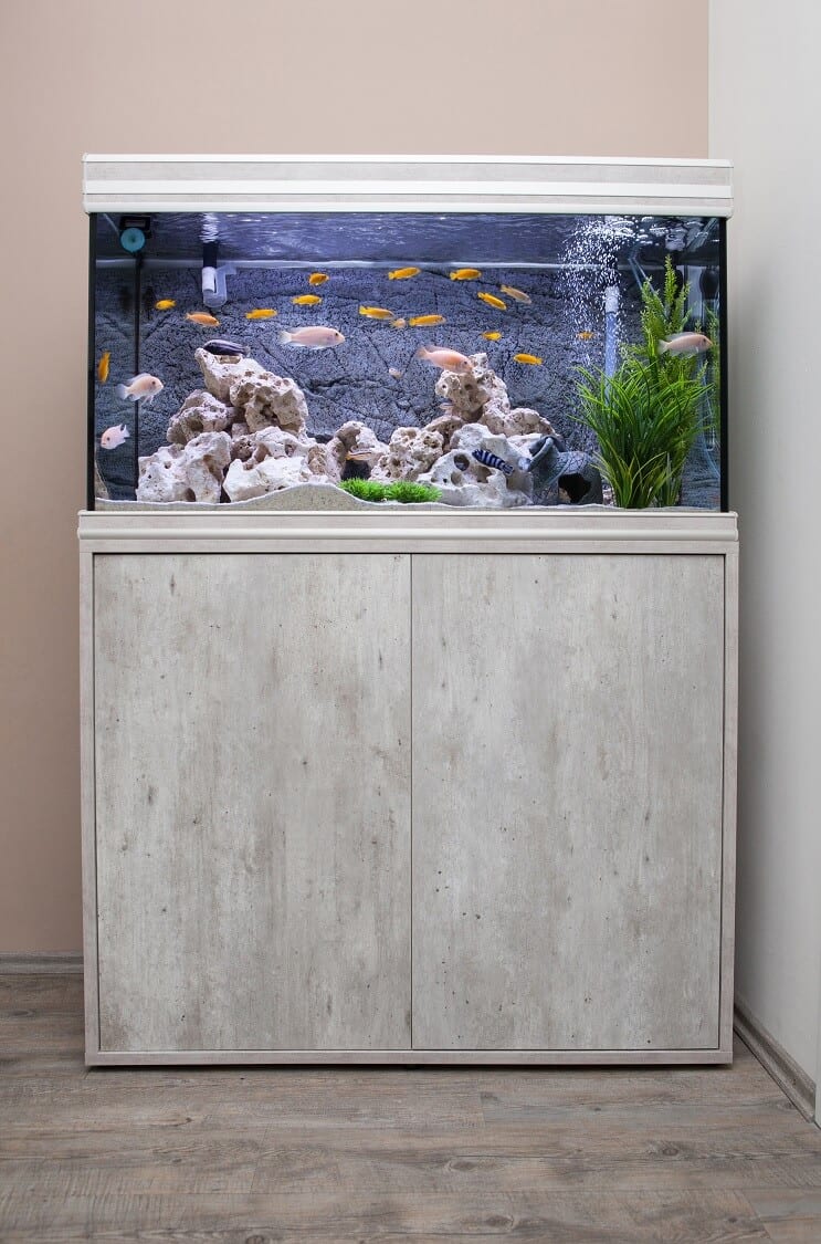 Ställa in en tank på 30 liter