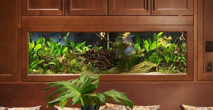 40 gallons akvarium