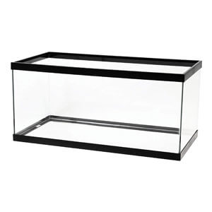 Aqueon 40 Gallon uppfödartank