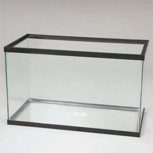 Prisvärt 20 Gallon akvarium