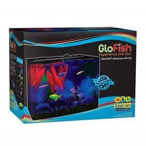 GloFish akvarium