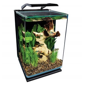 Prisvärt 5 Gallon akvarium