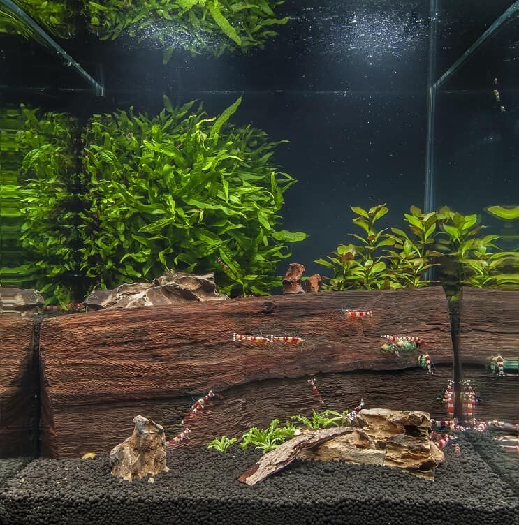 Nano akvarium