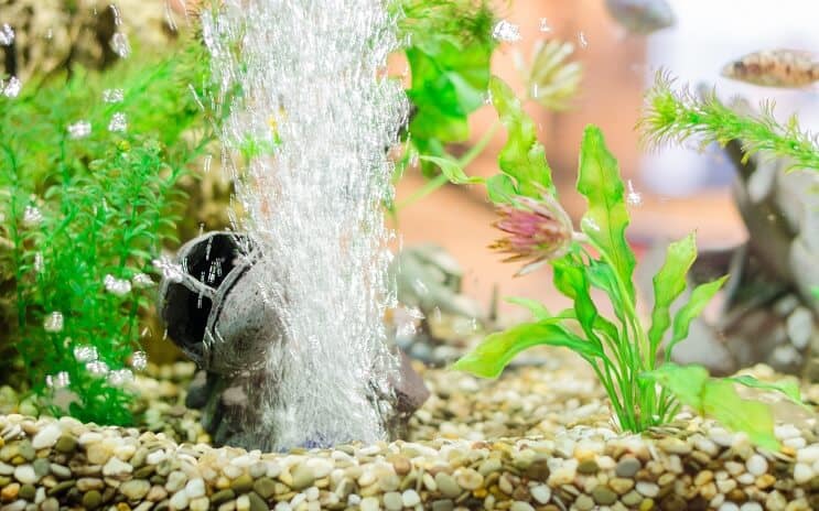 Akvariumdekoration med luftsten