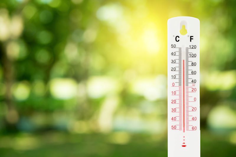 Bästa akvarietermometer