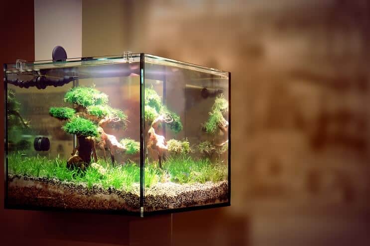 LED-akvariumbelysning