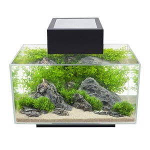 Snygg 6 Gallon Tank