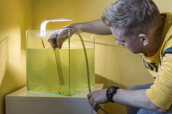 Siphoning vatten från tanken