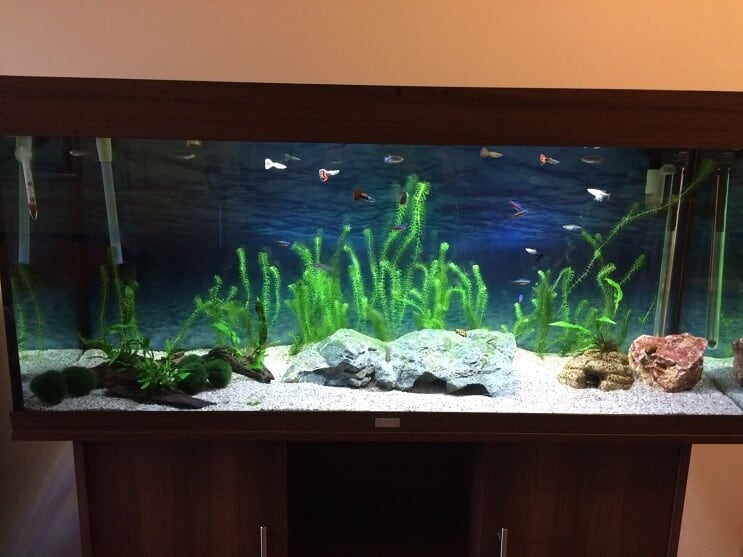 Färdig tank