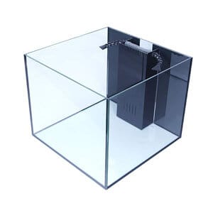 Bästa marina eller rev 50 gallon tank