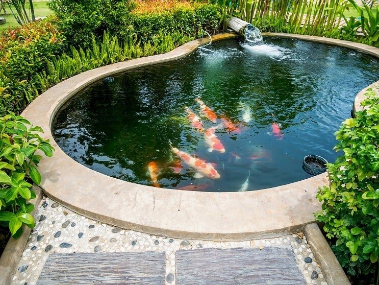 Koi dammutrustning