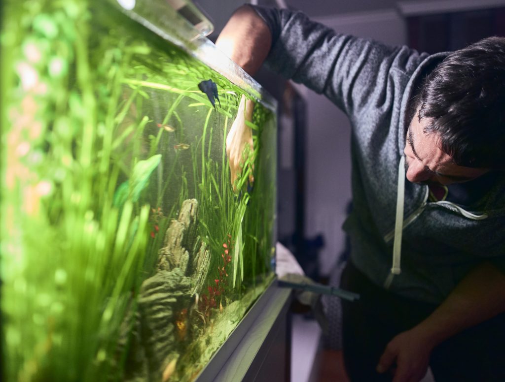 molnigt vatten i akvariet