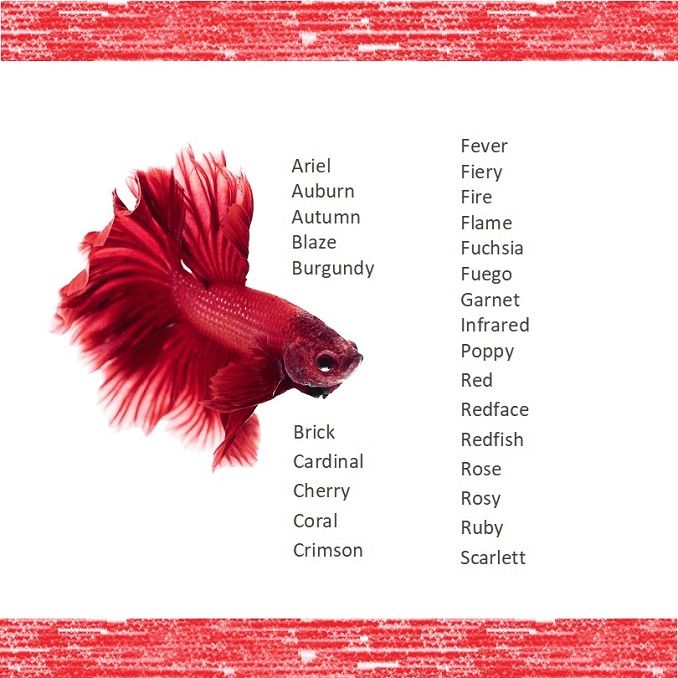 Namn på röda fiskar