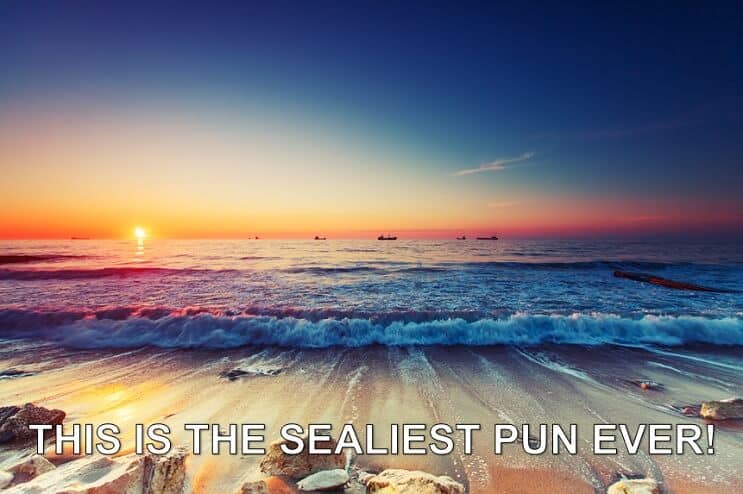 Sealiest Pun någonsin