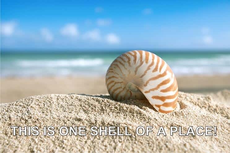 Ett skal av en plats