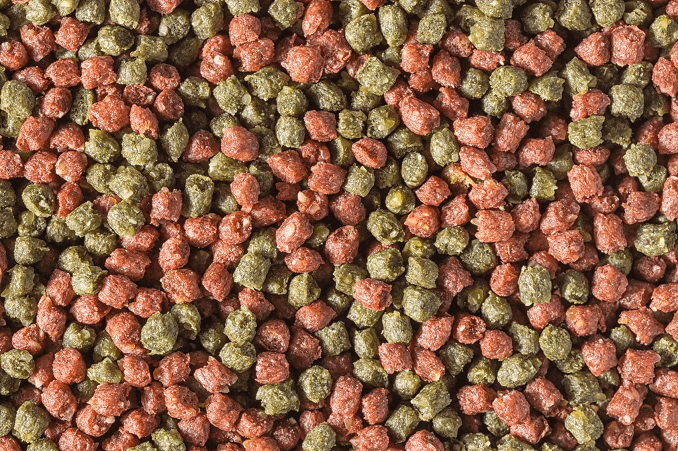 Torkade pellets