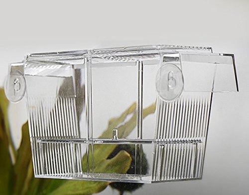 PETS ISLAND Akvariefiskar Uppfödningslådor Dubbel guppies Hatching Inkubator Isolation Box (7,7 tum)