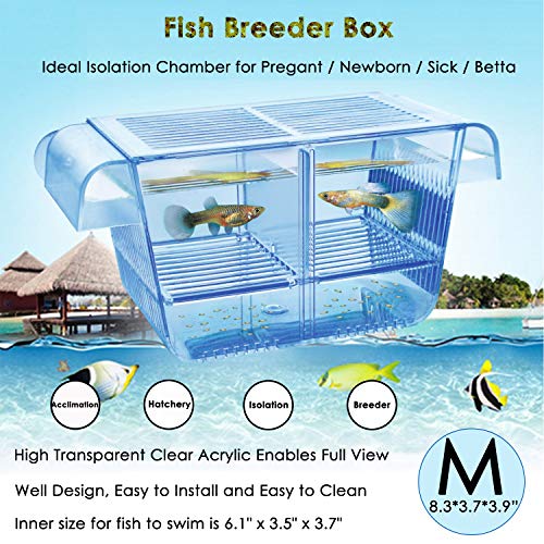 capetsma Fish Breeder Box, Hang-on Nursery Fish Tank with Breeding Hatching Incubator Acclimation Box, Perfect Fish Tank Divider for Aggressive Skaded Gravid Fish Small Fish Saltlake Räkor Clownfish